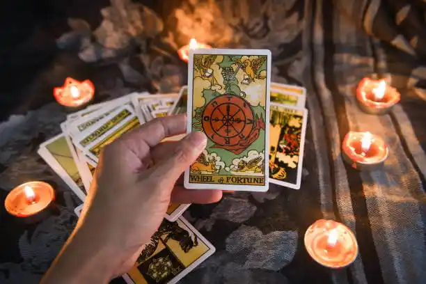 tarot cards Evansville